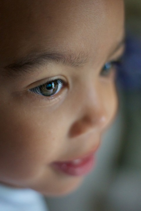 My-Son